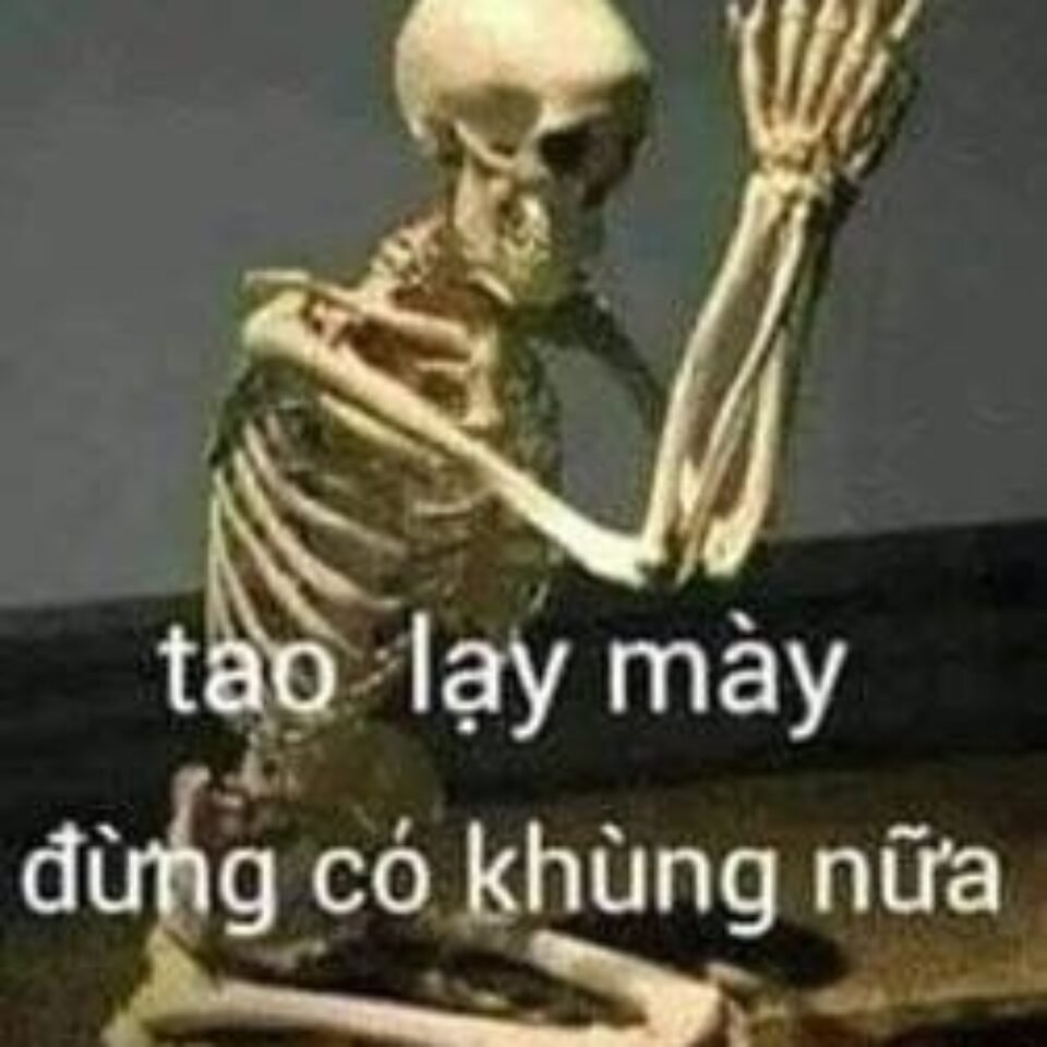 Ảnh meme hài về cuộc sống hàng ngày