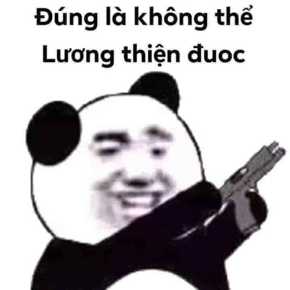 Meme cười ngất với hình chú mèo