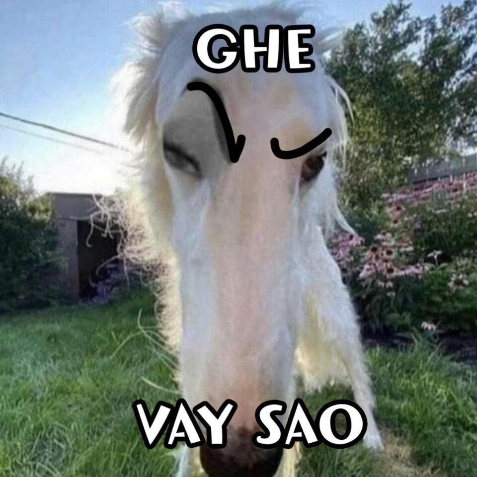 Ảnh meme châm biếm chính trị vui nhộn