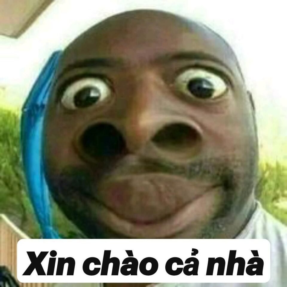 Meme hài về học tập và thi cử