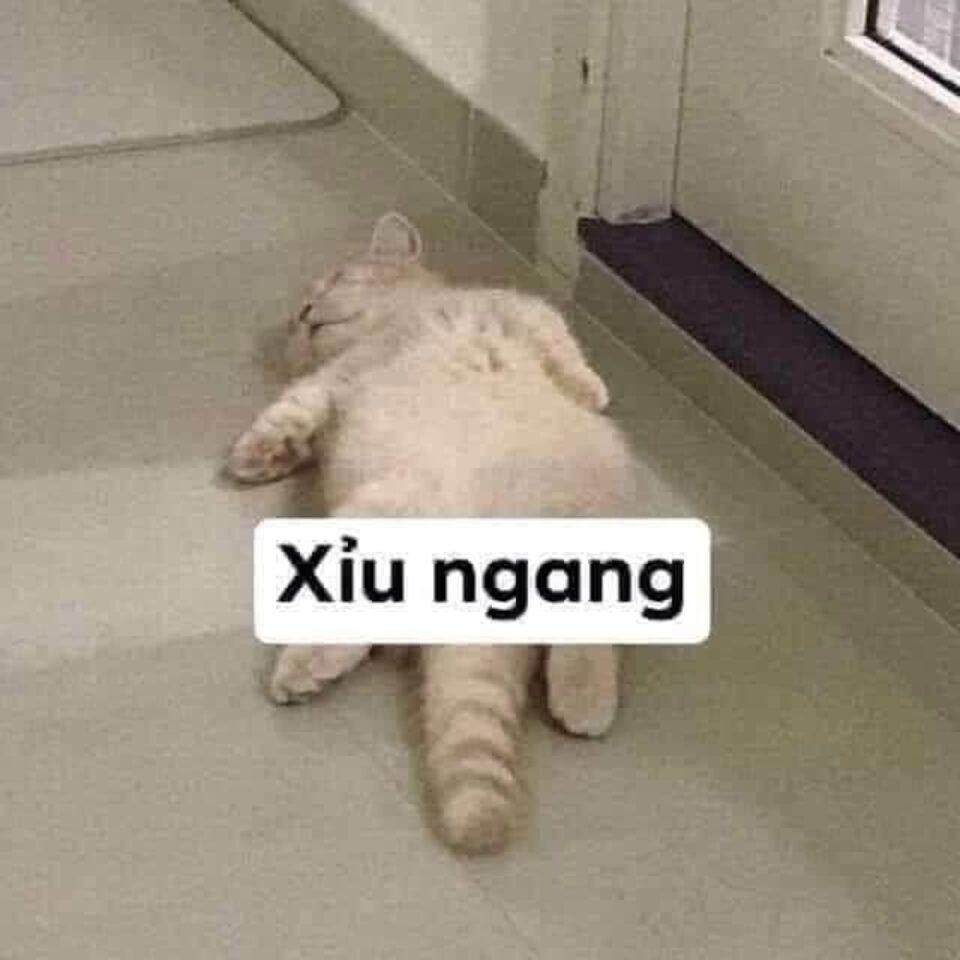 Meme hài hước về các mối quan hệ xã hội